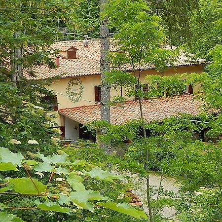 Agriturismo Fonte Magria อับบาเดียซานซัลวาตอเร ภายนอก รูปภาพ