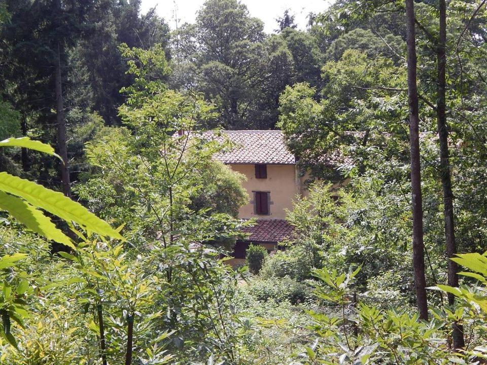 Agriturismo Fonte Magria อับบาเดียซานซัลวาตอเร ภายนอก รูปภาพ